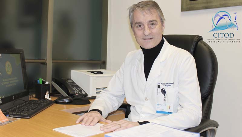 Leaf ; A close up shot of a green leaf.